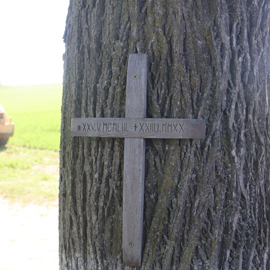 Dřevěný křížek na stromě u Studence