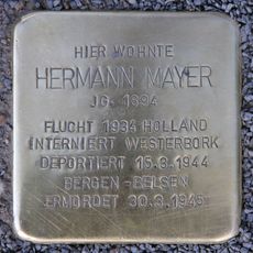Hermann Mayer
