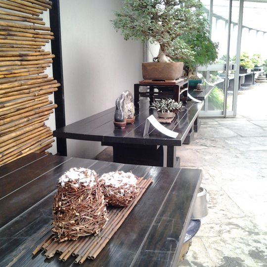 Museo del bonsai "Crespi"