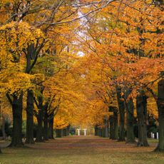 Stadtfriedhof Ricklingen