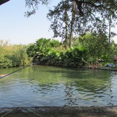 Nun spring