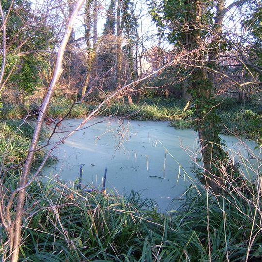 Medieval fishponds 125m south of Park Farm, Thornbury