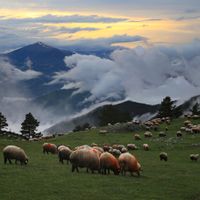 provincia di Gümüşhane
