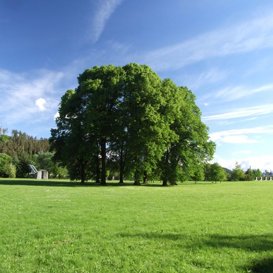 Park of Manor Strážky