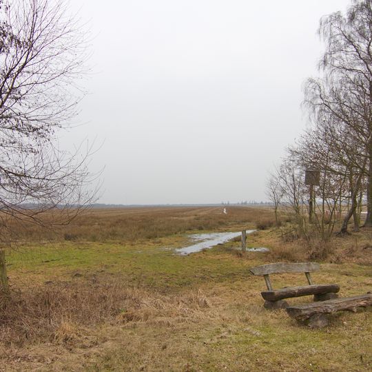 Freistätter Moor