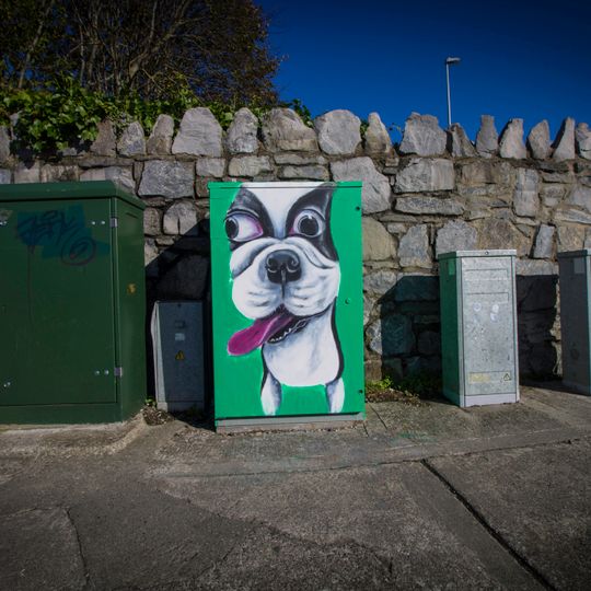 Happy Dog - Happy Days