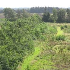 Lille Vildmose