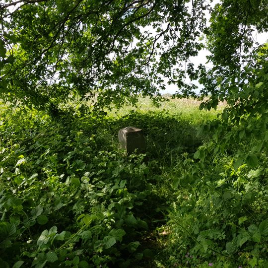 Belgien-Niederlande Grenzstein Nr. 84a