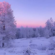 Great Arctic State Nature Reserve
