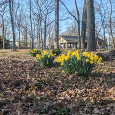 Calvert Park
