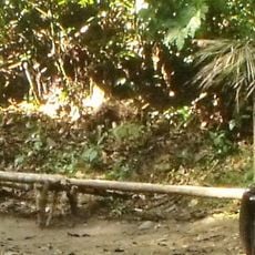Henri Pittier National Park