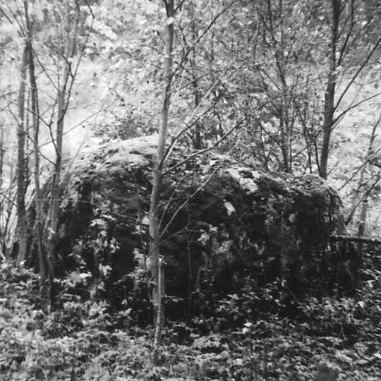 Vaineikių Šlaveitos kūlis