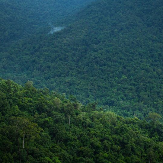 Bisle Reserve Forest