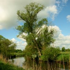 Untere Wümmeniederung, untere Hammeniederung mit Teufelsmoor