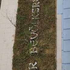 Der Bevölkerung