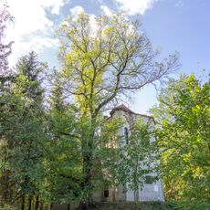 Jilm u Červené věže