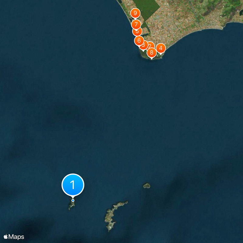 Palmarola Map