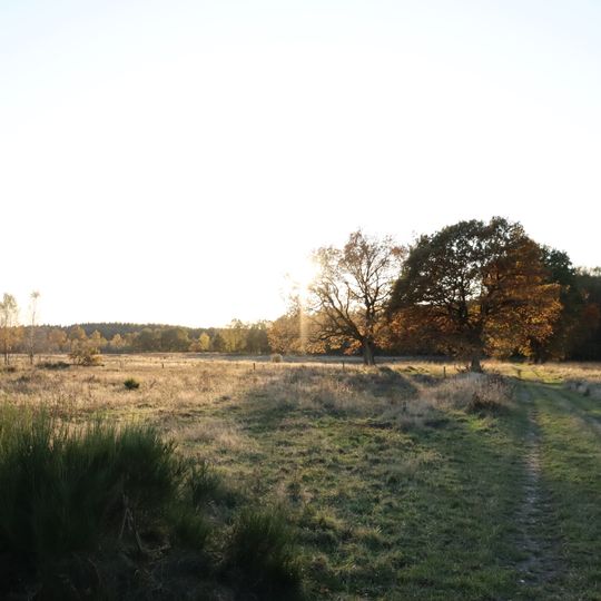 Kiebitzholmer Moor und Trentmoor