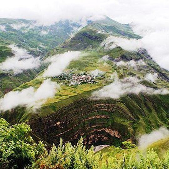 Tsurib