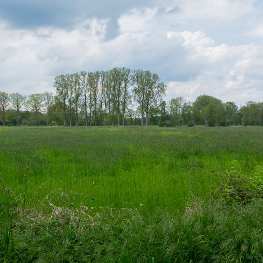 NSG Wischlager Wiesen