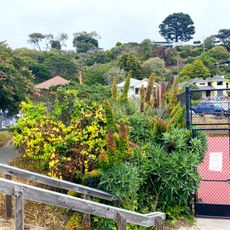 Bolinas Park