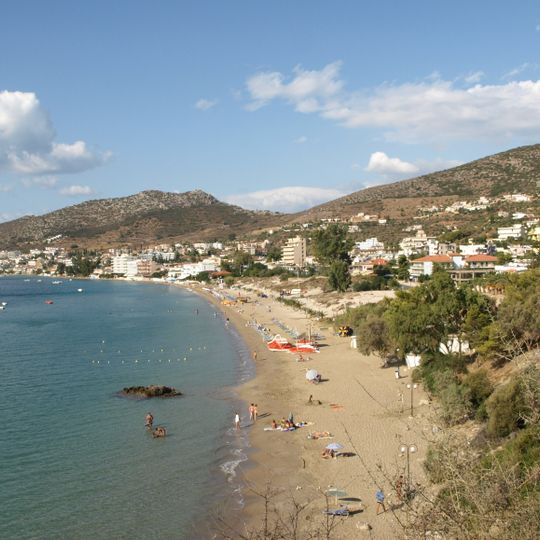 Tolo