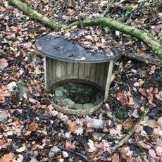 Malá studánka u Markovy studánky