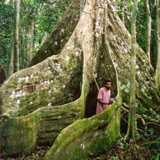 Vatthe Conservation Area