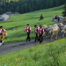 Appenzeller Brauchtumsmuseum Urnäsch