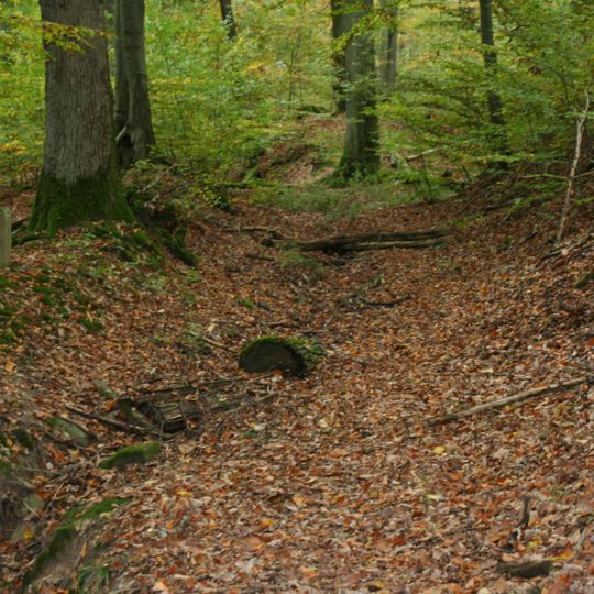 Doppelt versteinte Hällische Straße