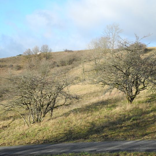 Hohekopf bei Großalmerode