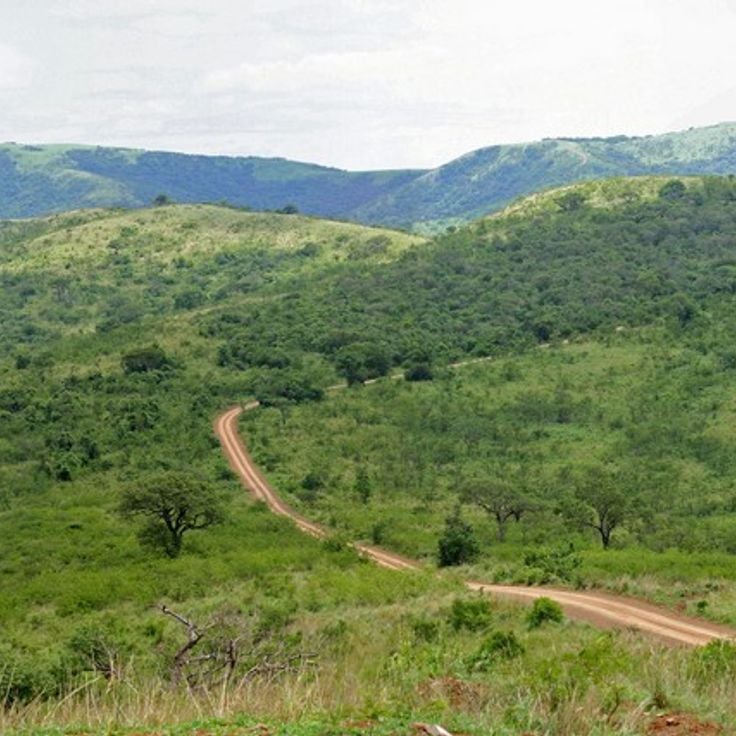 Hluhluwe-Umfolozi-reservatet
