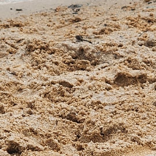 Lake Monticello Beach 4