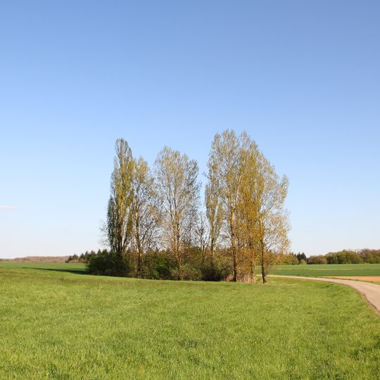 Feuchtgebiet Seewiesen