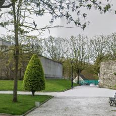 Arbre de la Paix
