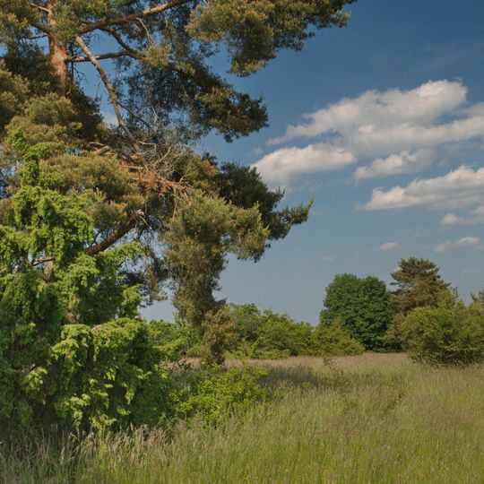 Venusberg - Wolfsäcker - Besental/Halde