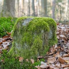 Grenzstein Tränkweiher in Fürth (D-5-63-000-1854#17)