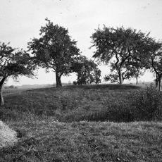 Terrein waarin resten van kasteel Barlham