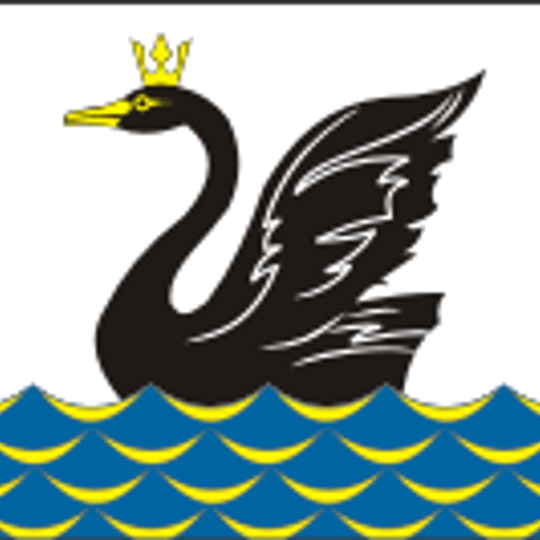 Emanzhelinskoe urban settlement