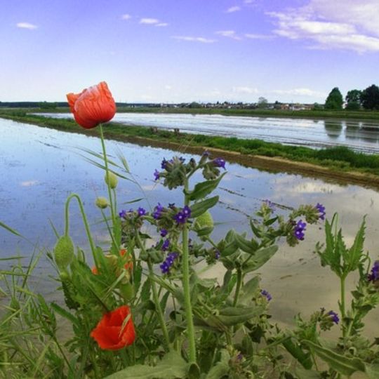 Provincia di Vercelli