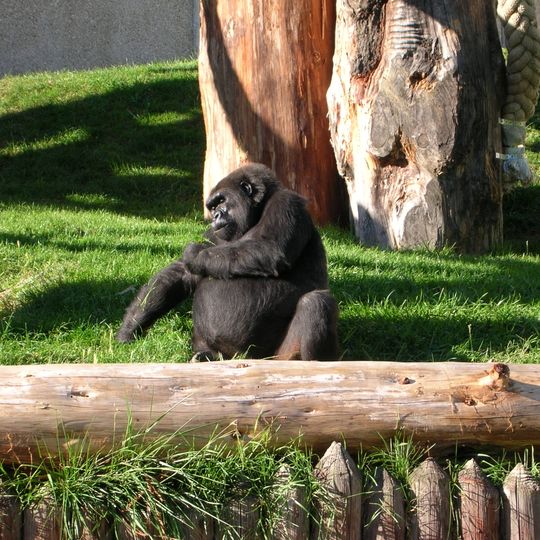 Parco zoologico di Saint-Martin-la-Plaine