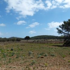 Plans de Campdàsens