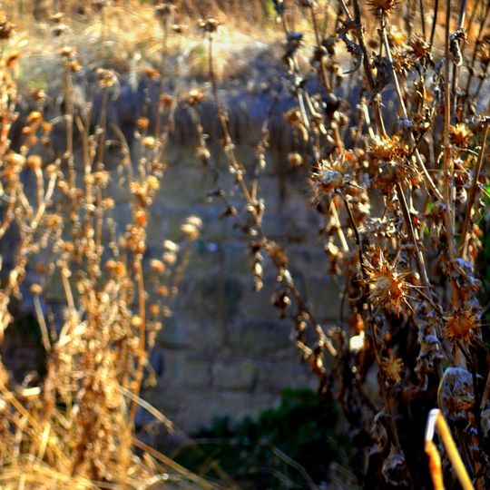 Molí de Sant Pere dels Arquells