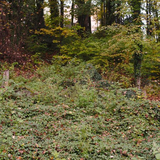 Ehemaliger Storchenweiher