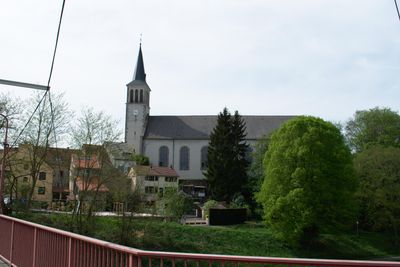 The view 1