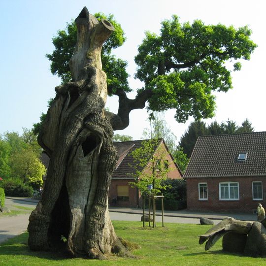 Dorfeiche in Dötlingen