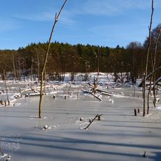 Naturschutzgebiet 'Grubenfelder Leonie'
