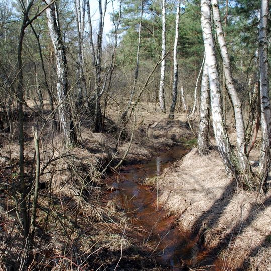 Rašeliniště Hovízna