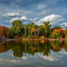Europaschutzgebiete March-Thaya-Auen