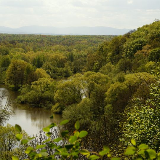 Görlitzer Neißeaue